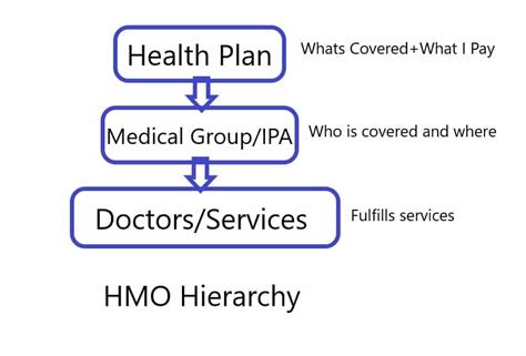 hmo hierarchy